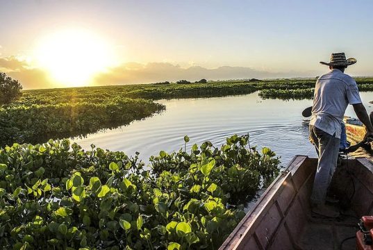 Ecopetrol lidera reforestación de humedales en Colombia