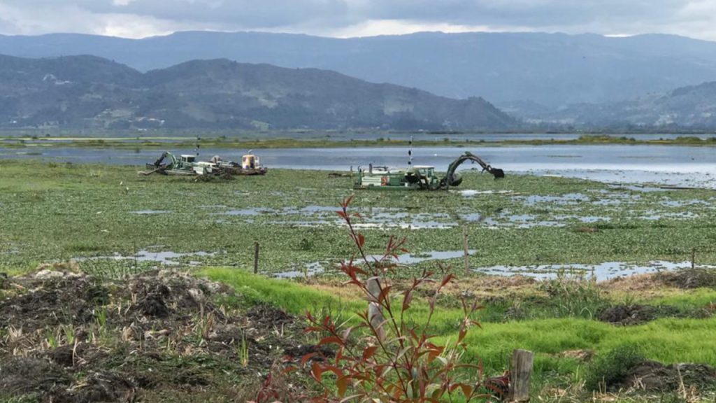 Plan para recuperar la laguna Fúquene es prioritario