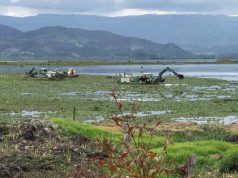 Plan para recuperar la laguna Fúquene es prioritario Plan para recuperar la laguna Fúquene es prioritario