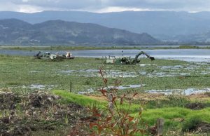 Plan para recuperar la laguna Fúquene es prioritario Plan para recuperar la laguna Fúquene es prioritario