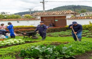 Huertas urbanas como motor de inclusión social en Madrid