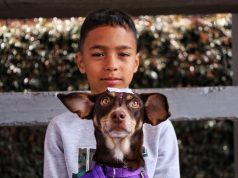 Esterilizan gratis a 125 mascotas en Cundinamarca