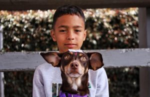 Esterilizan gratis a 125 mascotas en Cundinamarca