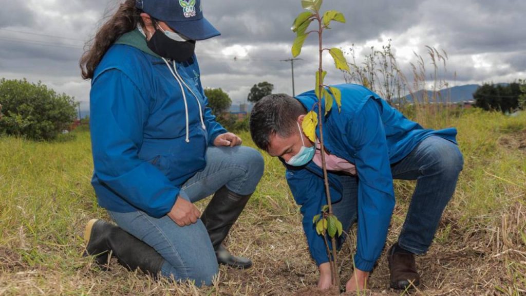 CAR Cundinamarca planta 10.000 árboles en colegios