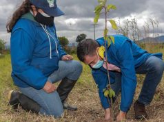 CAR Cundinamarca planta 10.000 árboles en colegios CAR Cundinamarca planta 10.000 árboles en colegios