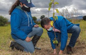 CAR Cundinamarca planta 10.000 árboles en colegios CAR Cundinamarca planta 10.000 árboles en colegios