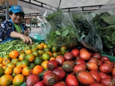 Cundinamarca y FAO combatirán el hambre juntos Cundinamarca y FAO combatirán el hambre juntos
