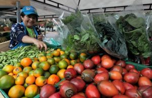 Cundinamarca y FAO combatirán el hambre juntos Cundinamarca y FAO combatirán el hambre juntos