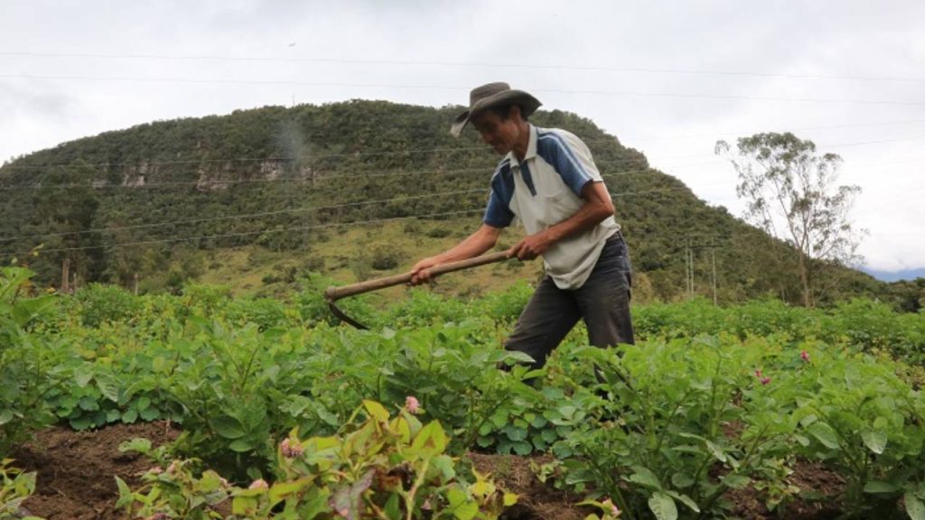 Cundinamarca fortalece agricultura sostenible con capacitaciones