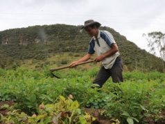 Cundinamarca fortalece la agricultura sostenible con capacitaciones Cundinamarca fortalece agricultura sostenible con capacitaciones