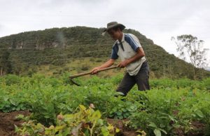 Cundinamarca fortalece la agricultura sostenible con capacitaciones Cundinamarca fortalece agricultura sostenible con capacitaciones