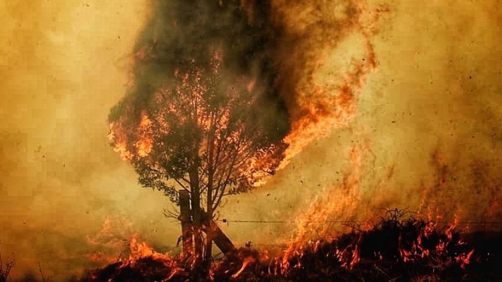 Incendio en Cundinamarca consume ocho viviendas