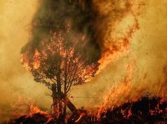 Incendio en Cundinamarca consume ocho viviendas Incendio en Cundinamarca consume ocho viviendas