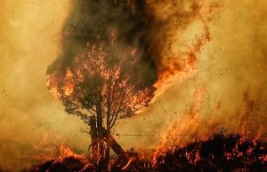 Incendio en Cundinamarca consume ocho viviendas Incendio en Cundinamarca consume ocho viviendas