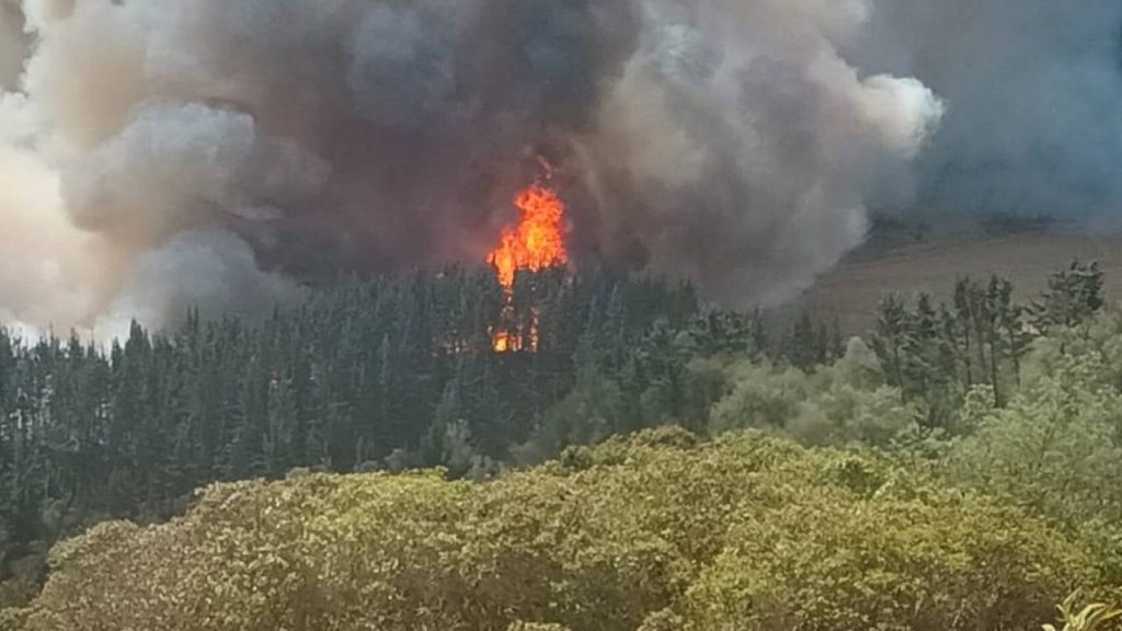 La Palma, Cundinamarca recibe apoyo tras incendio