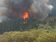 La Palma, Cundinamarca recibe apoyo tras incendio La Palma, Cundinamarca recibe apoyo tras incendio
