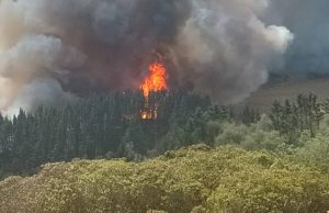 La Palma, Cundinamarca recibe apoyo tras incendio La Palma, Cundinamarca recibe apoyo tras incendio