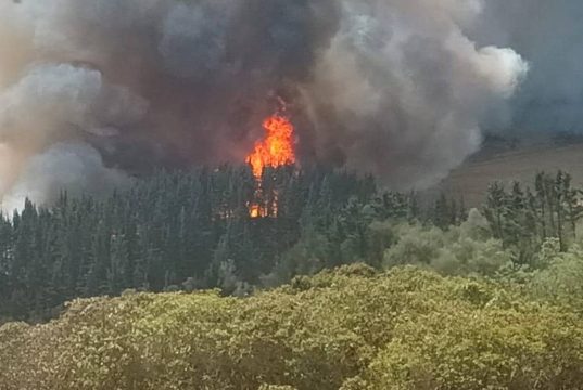 La Palma, Cundinamarca recibe apoyo tras incendio La Palma, Cundinamarca recibe apoyo tras incendio