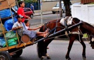 En Facatativá no se usan más vehículos de tracción animal