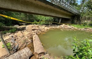 Cundinamarca, actividades amenazan ecosistemas locales