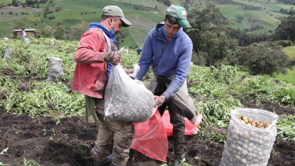 Convenio impulsa desarrollo agropecuario en Cundinamarca