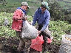 Convenio impulsa desarrollo agropecuario en Cundinamarca Convenio impulsa desarrollo agropecuario en Cundinamarca