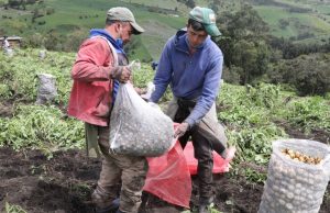 Convenio impulsa desarrollo agropecuario en Cundinamarca Convenio impulsa desarrollo agropecuario en Cundinamarca