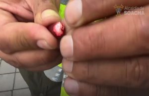 En cápsulas con forma de fríjoles transportaban droga en Soacha