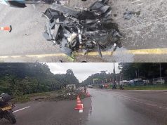 Rama de un árbol deja un muerto en Bogotá