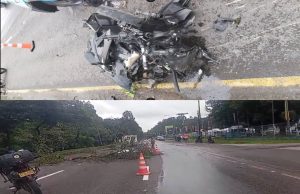 Rama de un árbol deja un muerto en Bogotá