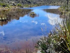 CAR sanciona manejo irregular de residuos sólidos en Cundinamarca CAR sanciona manejo irregular de residuos en Cundinamarca