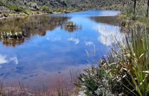CAR sanciona manejo irregular de residuos sólidos en Cundinamarca CAR sanciona manejo irregular de residuos en Cundinamarca