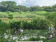 CAR refuerza vigilancia en humedal El Yulo de Cundinamarca CAR refuerza vigilancia en humedal El Yulo de Cundinamarca