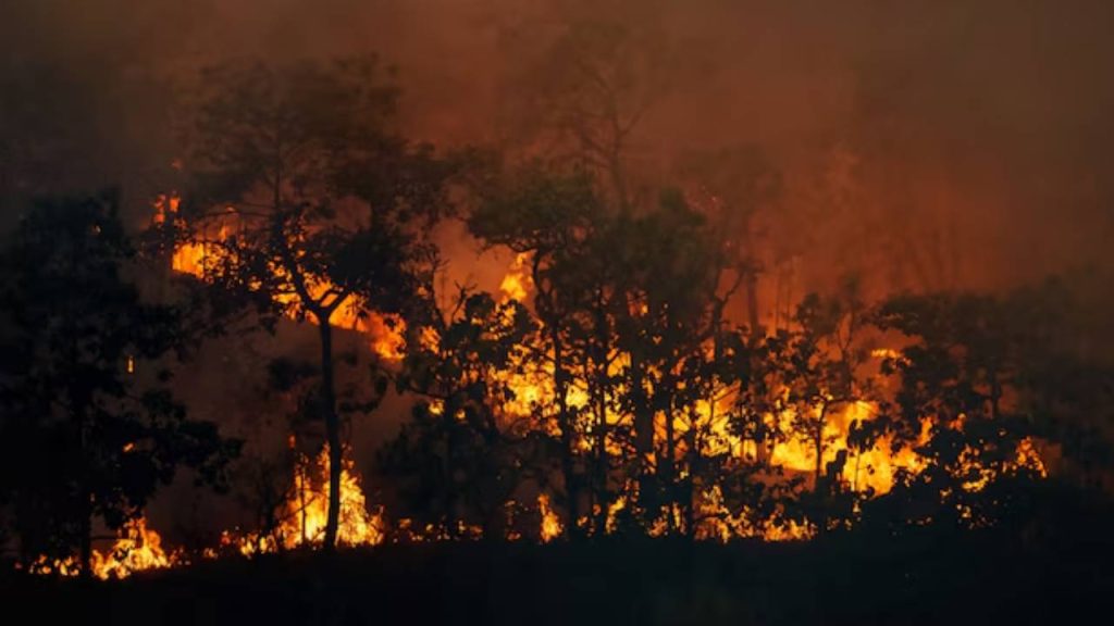 Cundinamarca refuerza respuesta ante incendios forestales