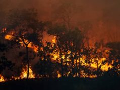 Cundinamarca refuerza respuesta ante incendios forestales Cundinamarca refuerza respuesta ante incendios forestales