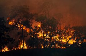 Cundinamarca refuerza respuesta ante incendios forestales Cundinamarca refuerza respuesta ante incendios forestales