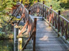 Cundinamarca: Puente en Vergara transformará la economía rural Cundinamarca: Puente en Vergara transformará la economía rural