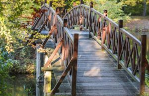 Cundinamarca: Puente en Vergara transformará la economía rural Cundinamarca: Puente en Vergara transformará la economía rural
