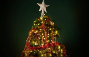 Tragedia en Girardot: árbol navideño causa muerte de policía Tragedia en Girardot: árbol navideño causa muerte de policía