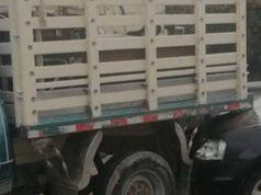 Dos vehículos protagonizaron un accidente en la Calle 13