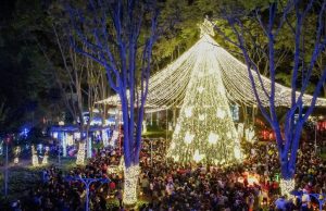 Actividad imperdible para disfrutar la navidad en Mosquera
