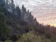 En Cundinamarca incendio afecta dos hectáreas de bosque