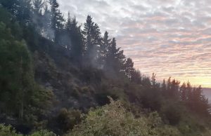 En Cundinamarca incendio afecta dos hectáreas de bosque