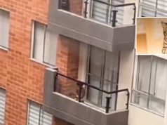 Maltrato animal: menor intentó lanzar un gato desde un balcón en Mosquera