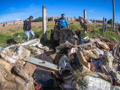 En Mosquera se adelantan jornadas de embellecimiento