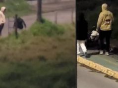 Alerta en Funza: ciudadanos están arrojando vísceras en alcantarillas