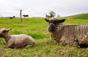Cundinamarca se prepara para enfrentar el cambio climático