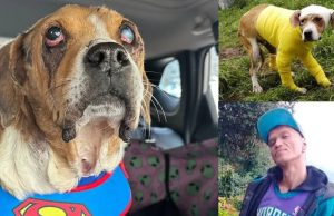 Grave caso de maltrato animal: culpable sigue libre