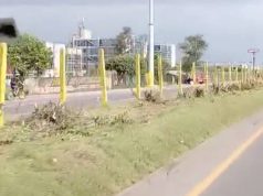 Denuncian destrucción de árboles en la Calle 80