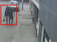 ¡Urgente! Ayúdanos a identificar a este acosador en Facatativá